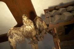 Steakhaus Pavic - Weidenhof