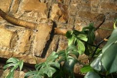 Steakhaus Pavic - Weidenhof